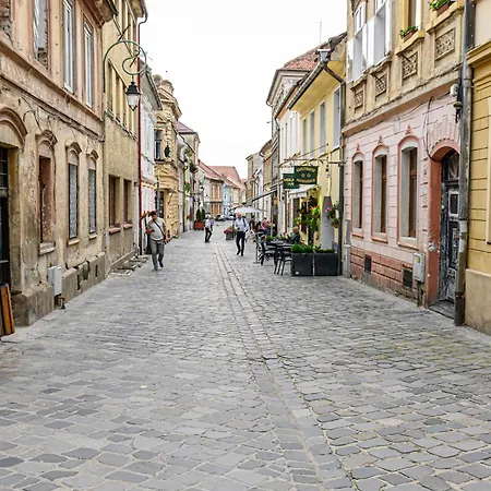 Casuta Muresan In Centrul Istoric 公寓