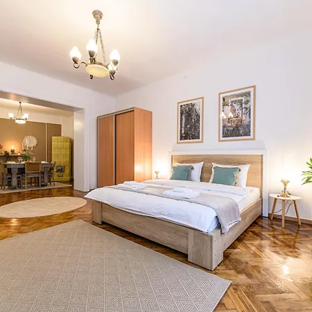 Casuta Muresan In Centrul Istoric 公寓